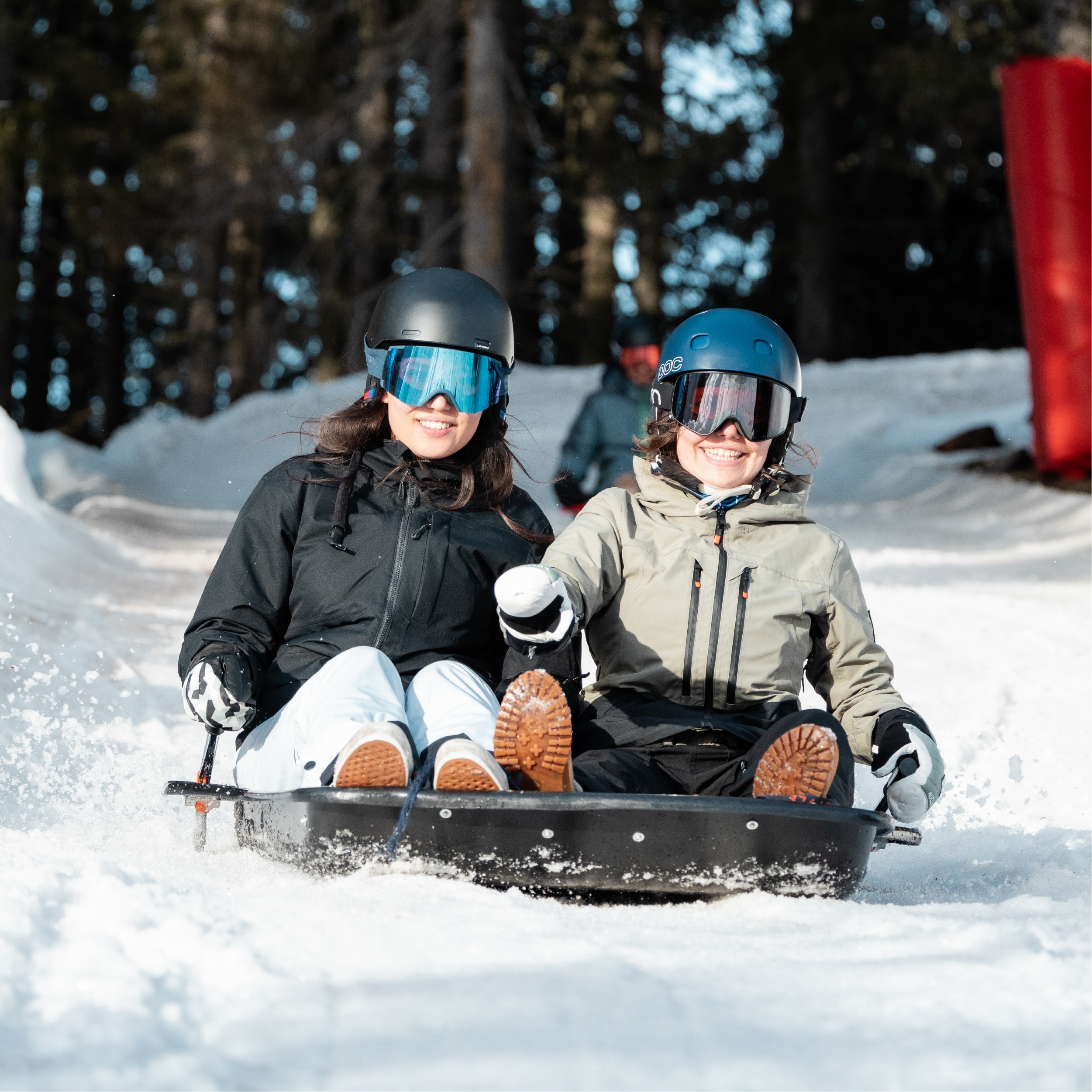 Les activités insolites la Luge 2000 et la Luge 1800